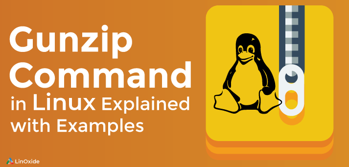 How To Extract .tar.gz and .zip Files using Linux Command Line